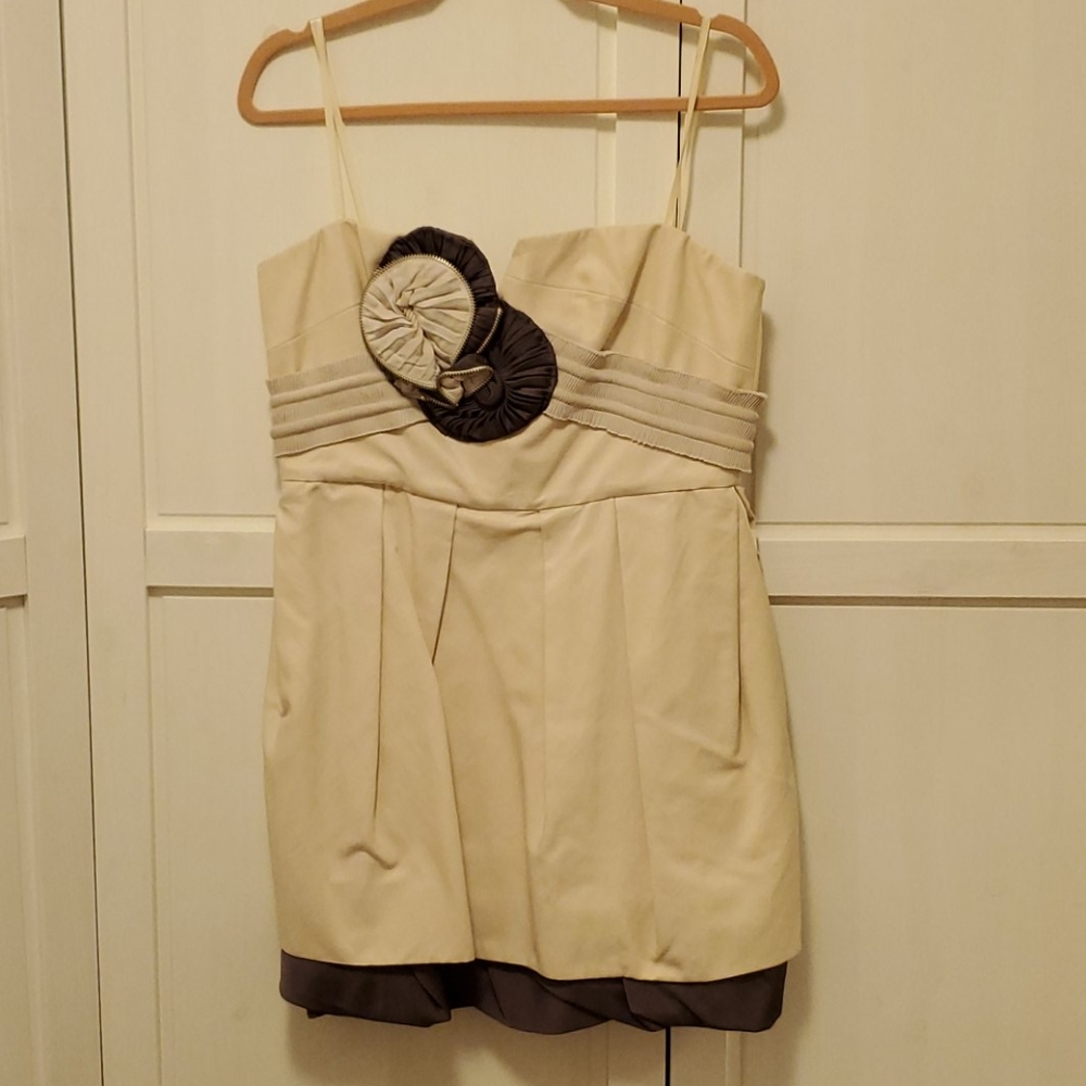 BCBG Runway Dress (12)(NWT)